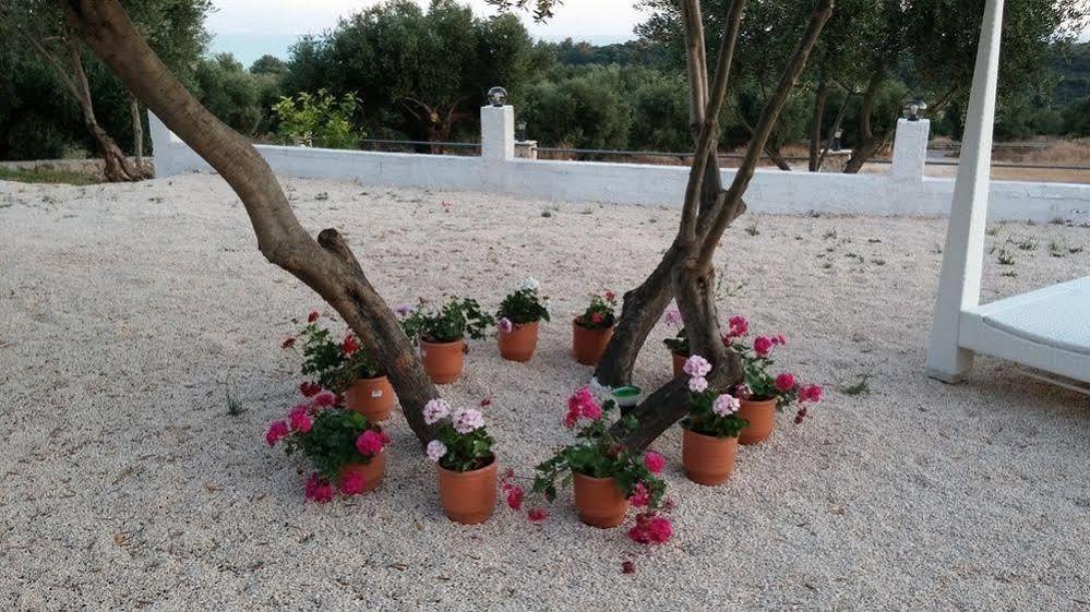 Elaias Gi Residence Mousata Dış mekan fotoğraf